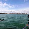 A passenger enjoys some up-close interaction with an Orca (Killer Whale) just outside Auckland. A passenger enjoys some up-close interaction with an Orca (Killer Whale) just outside Auckland.