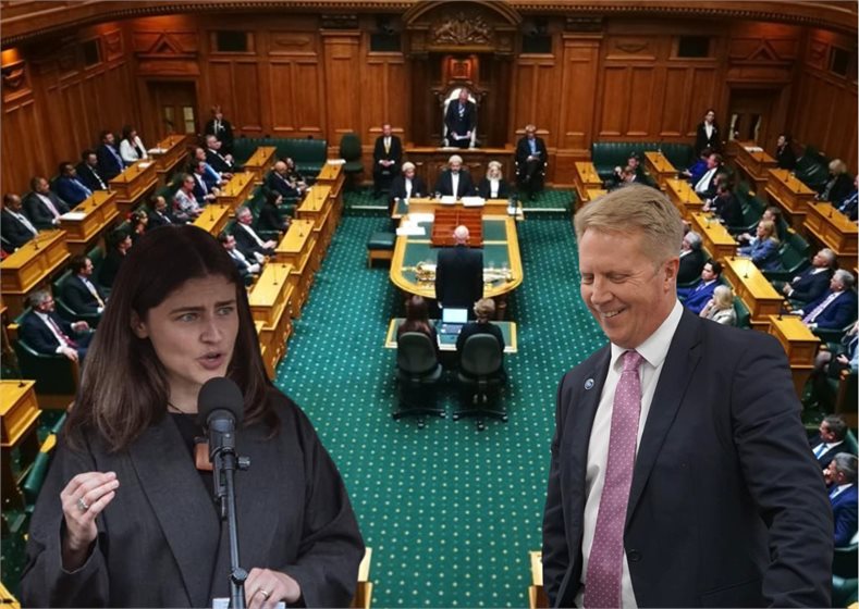 NZ Parliament/Green Party/Todd McClay
