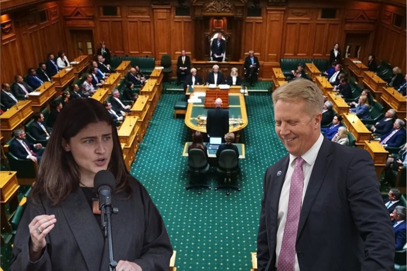 NZ Parliament/Green Party/Todd McClay