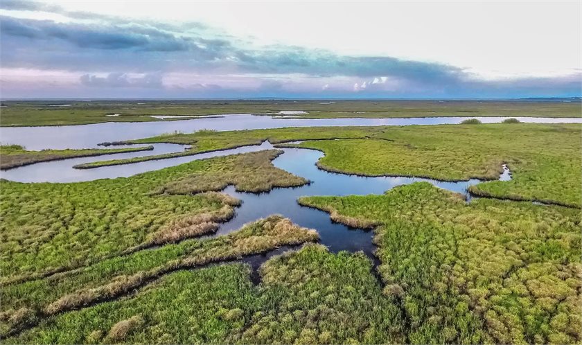 Plaquemines Parish Tourism