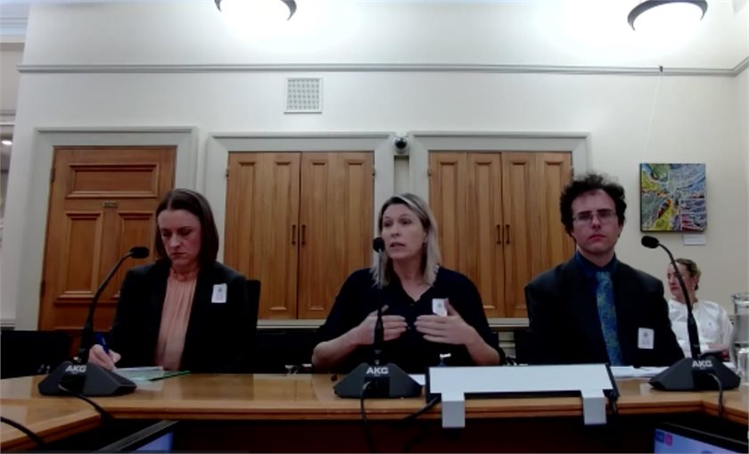 Climate Change Commission chief executive Jo Hendy (centre) speaking to the Environment Select Committee.