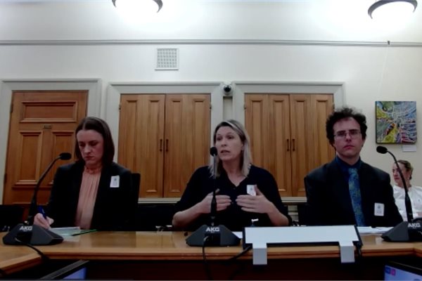 Climate Change Commission chief executive Jo Hendy (centre) speaking to the Environment Select Committee. Climate Change Commission chief executive Jo Hendy (centre) speaking to the Environment Select Committee.