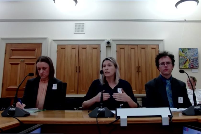 Climate Change Commission chief executive Jo Hendy (centre) speaking to the Environment Select Committee.