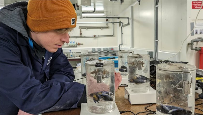 A pilot project led by the UK's University of Exeter is capturing carbon from seawater.