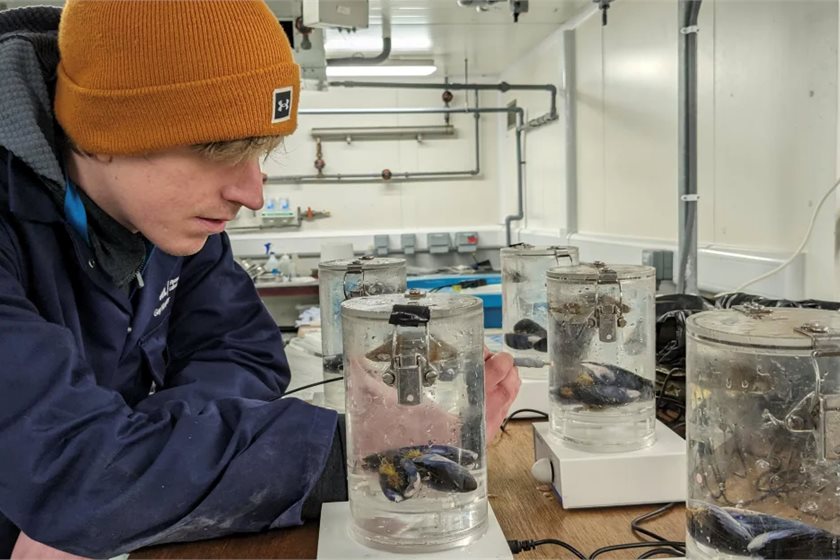 A pilot project led by the UK's University of Exeter is capturing carbon from seawater.