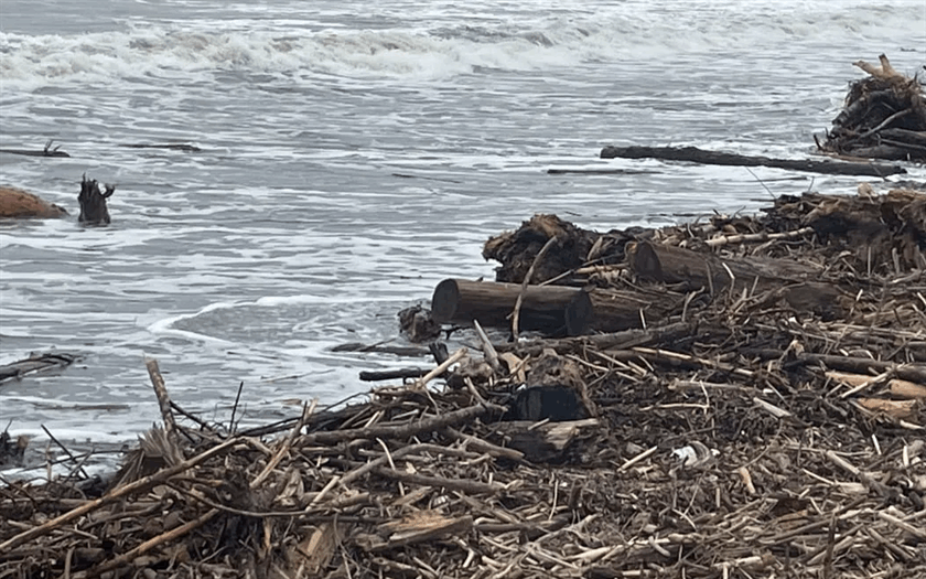 A Gisborne beach covered in wood debris after Cyclone Gabrielle.
