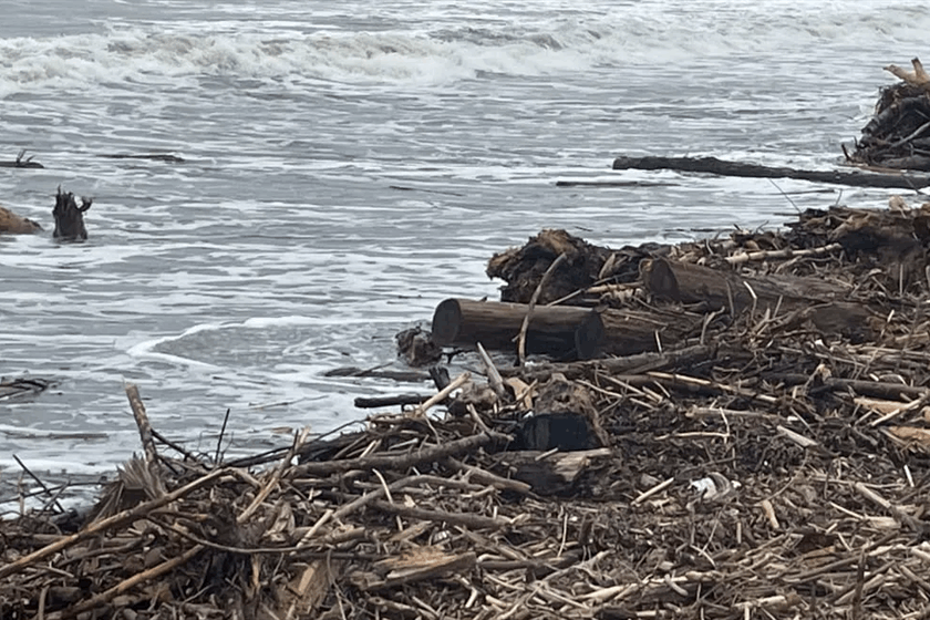 A Gisborne beach covered in wood debris after Cyclone Gabrielle.