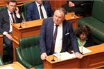 Minister of Resources Shane Jones Minister of Resources Shane Jones