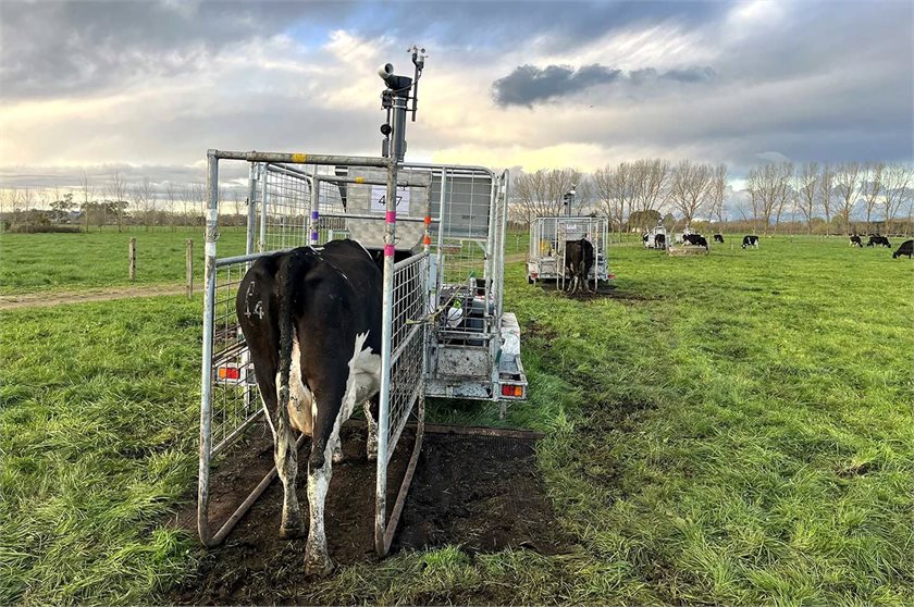 DairyNZ