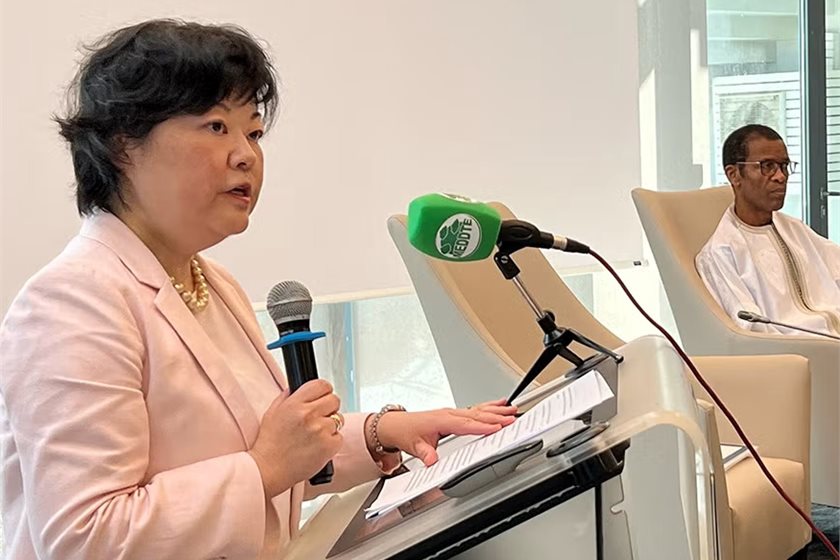 WASP chairperson Chizuru Aoki,