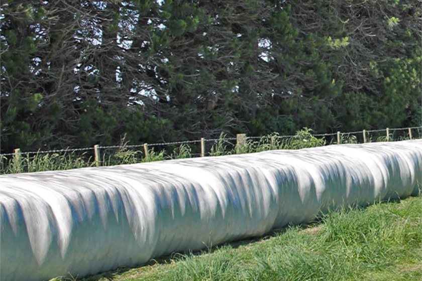 Environment Canterbury