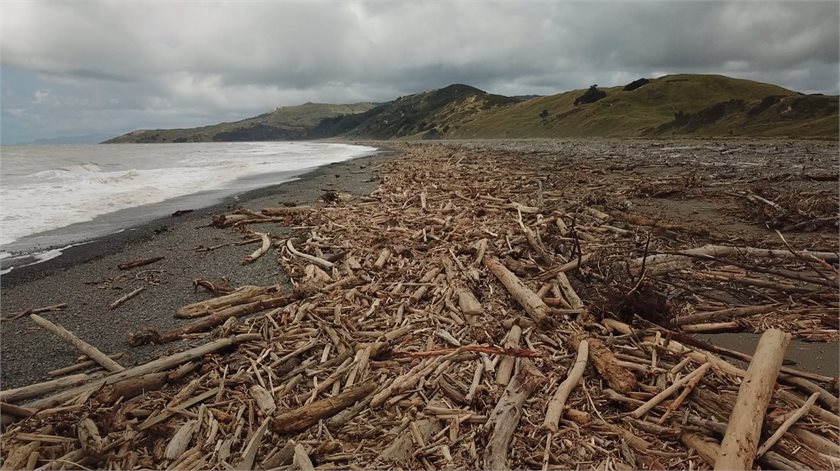 Impacts of Cyclone Hale on Tairāwhiti