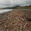 Impacts of Cyclone Hale on Tairāwhiti Impacts of Cyclone Hale on Tairāwhiti