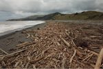 Impacts of Cyclone Hale on Tairāwhiti Impacts of Cyclone Hale on Tairāwhiti