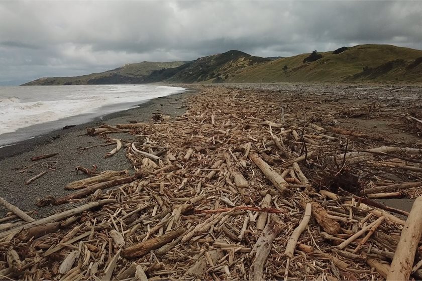 Impacts of Cyclone Hale on Tairāwhiti