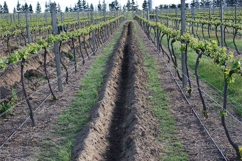 Biochar Network New Zealand