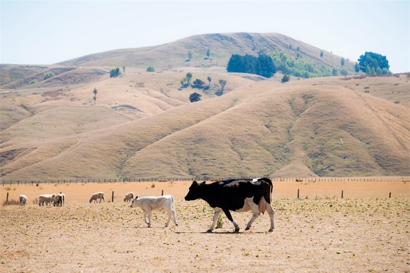 Earth Sciences New Zealand