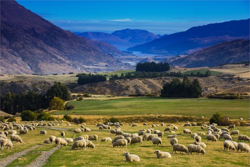 Parliamentary Commissioner for the Environment