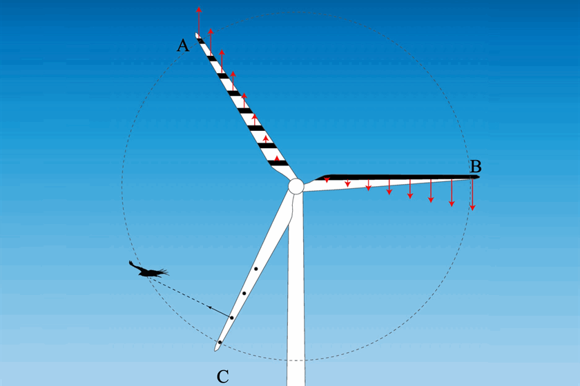 Bio-informed blade patterns exploit the principles of bird vision