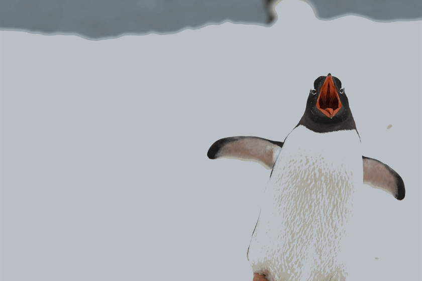 Cornelius Ventures on Unsplash