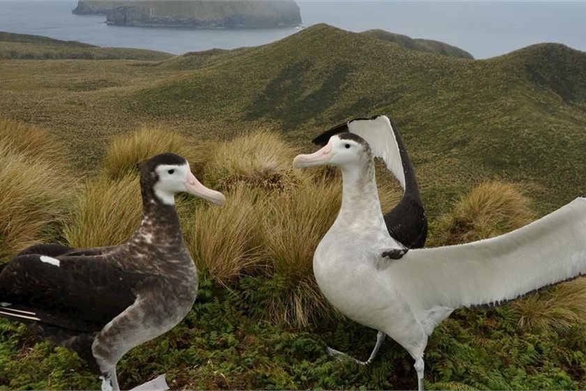 Department of Conservation