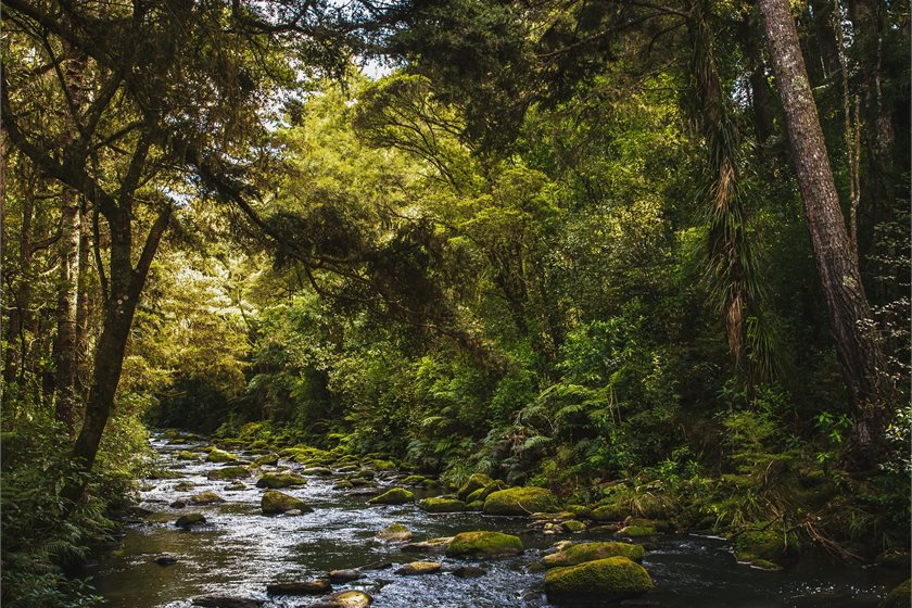 Photo by Casey Horner on Unsplash