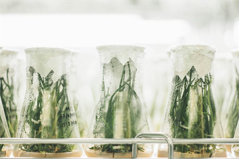 Photo by CHUTTERSNAP on Unsplash