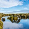 Awarua-Waituna Wetlands