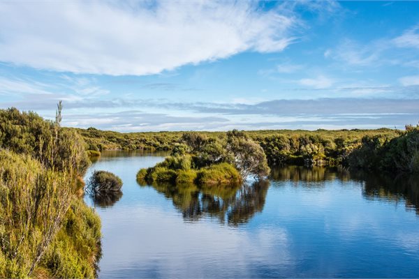 Awarua-Waituna Wetlands