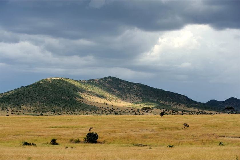 Depositphotos