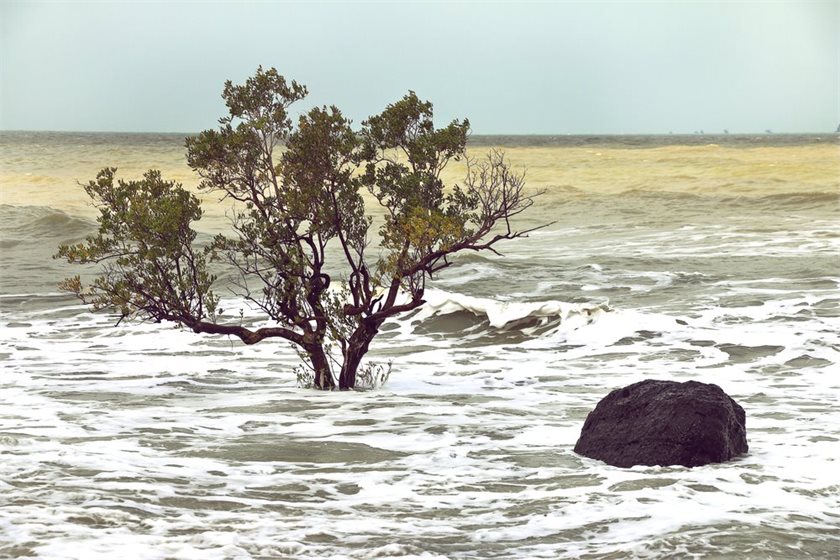 Depositphotos