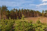 Image: Depositphotos