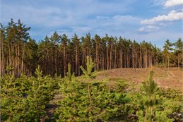 Image: Depositphotos