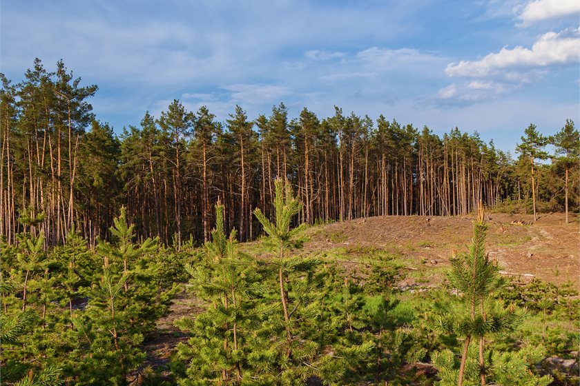 Image: Depositphotos