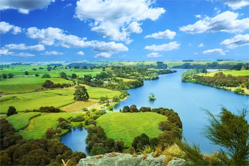 Waikato river