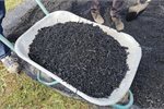 Biochar