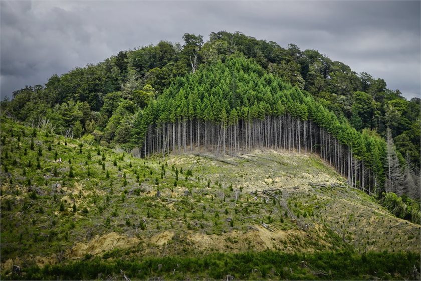 Depositphotos