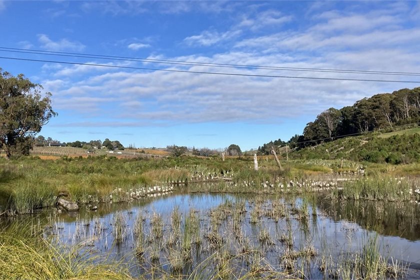 The Nature Conservancy Aotearoa New Zealand