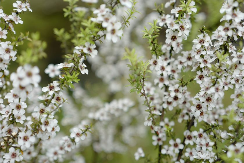 Jennifer Yung on Unsplash