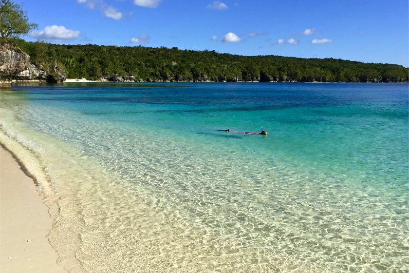 Photo by Lilyana Zivkovic on Unsplash