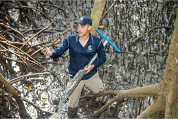 Professor Peter Macreadie measuring carbon sequestration in mangrove forests around Cairns