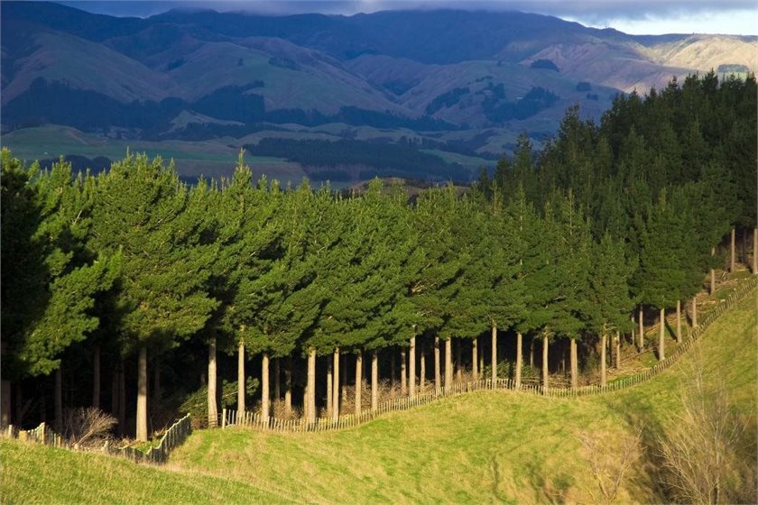 University of Canterbury