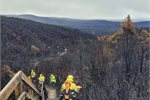 More than 3000 hectares of Tongariro National Park was destroyed by two major fires last year.