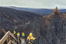 More than 3000 hectares of Tongariro National Park was destroyed by two major fires last year.