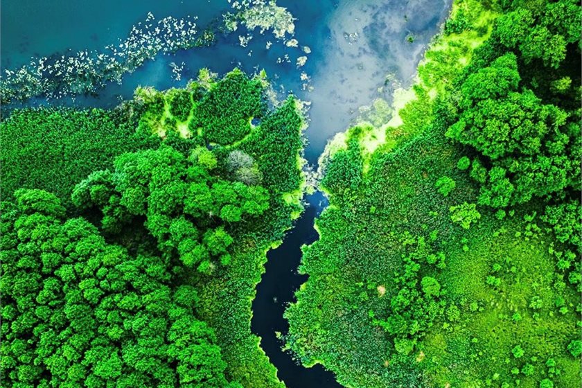 New Zealand Cleantech Impact Report 2026