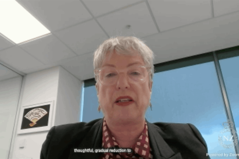 BusinessNZ's director of advocacy Catherine Beard delivered the submission to the Justice Select Committee this week.