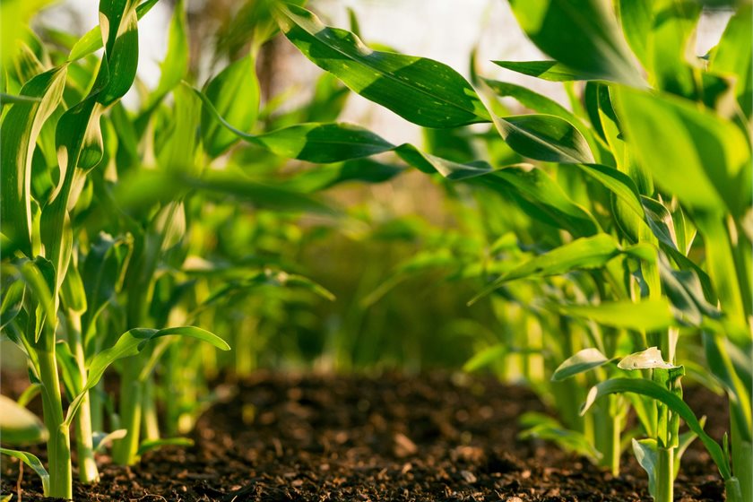 Photo by Steven Weeks on Unsplash