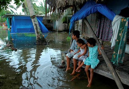 Gary Braasch/University of California