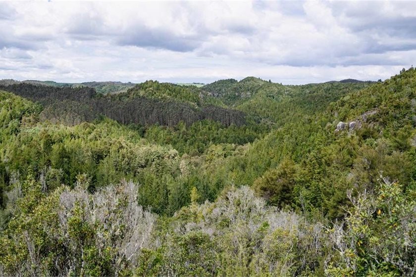 Department of Conservation