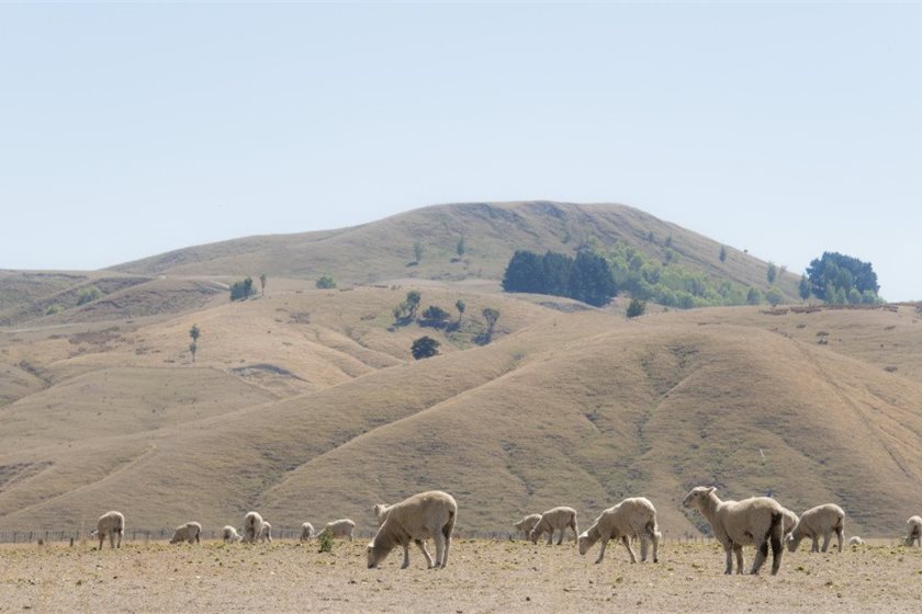 Earth Sciences New Zealand